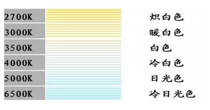 圖片5